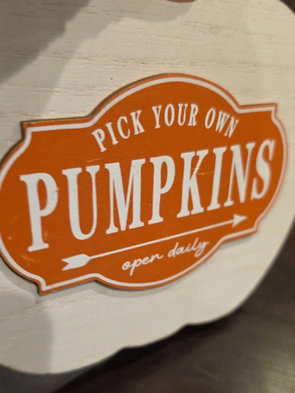 Rustic White Pumpkin Sign with Orange 'Pumpkins' Label - Home Decor
